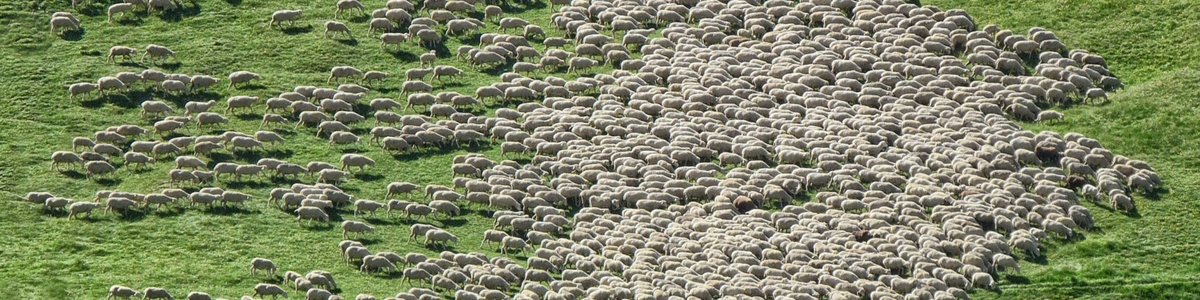 Handle Uncountable Words in Rails Inflections