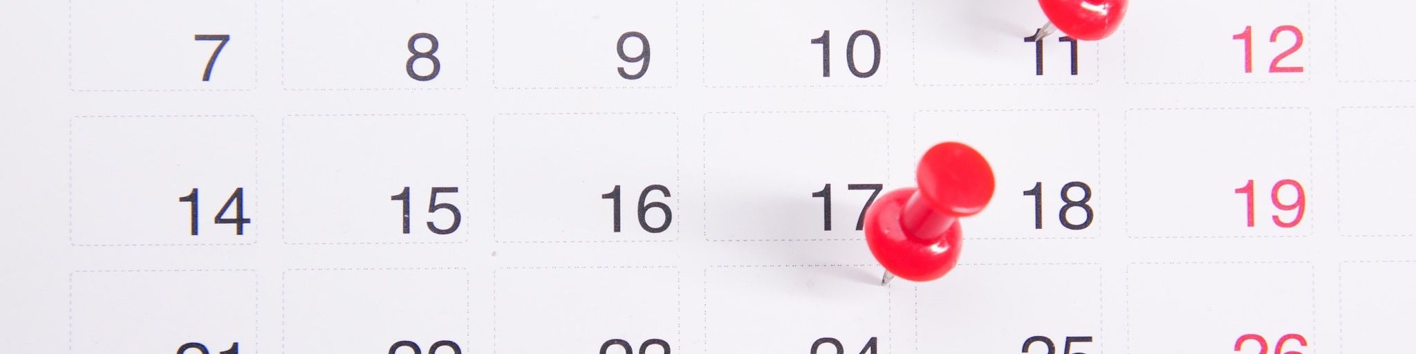 Calendar with pins